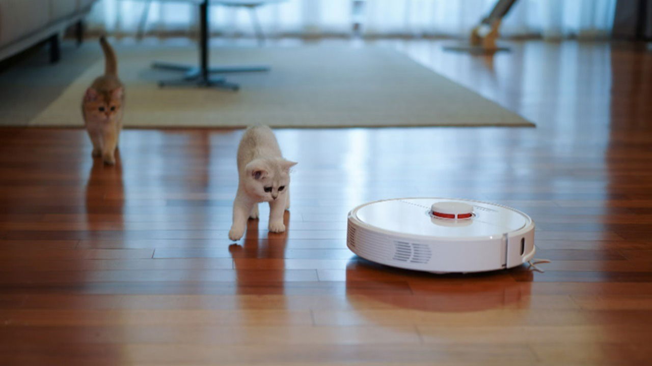 Robot vacuum on hardwood floor being chased by two kittens.