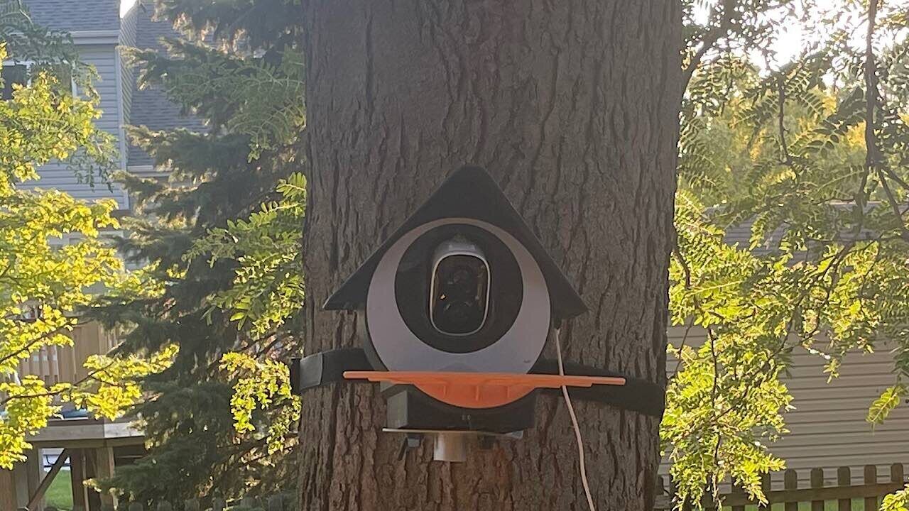 Birdkiss Smart Bird Feeder Featured