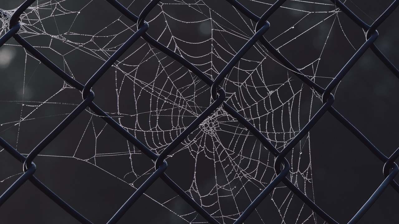 Featured image depicting the dark web as an intricate spider web.